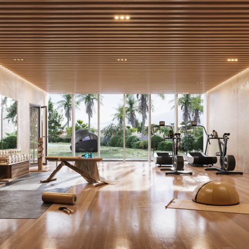 angstbordighera_VIPinterior_14_rev06_Post